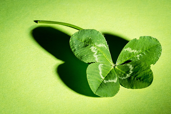 La garantie qualité Referencis