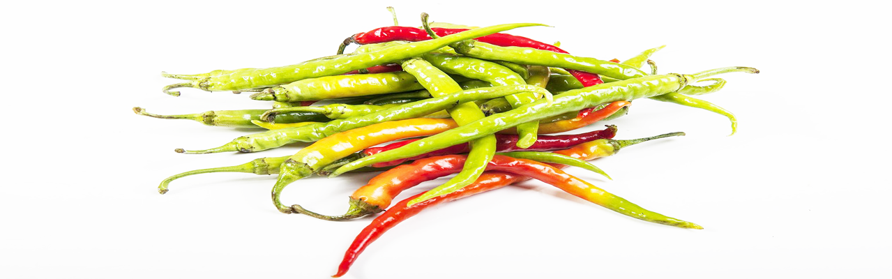 100% solutions digitales