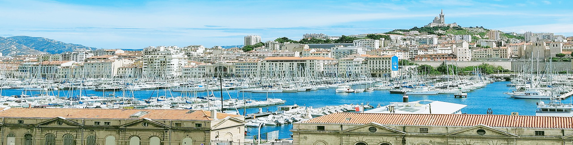 Agence SEO Marseille, Sud & France — Référencement local et national