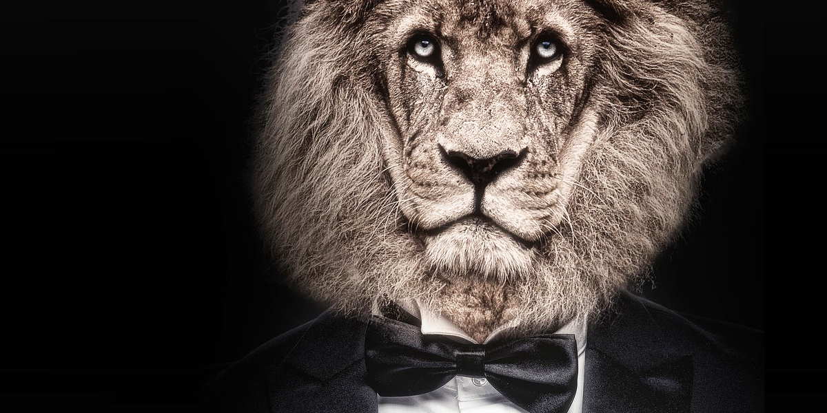 Devenez leader sur le marché avec votre coach d'entreprise Referencis