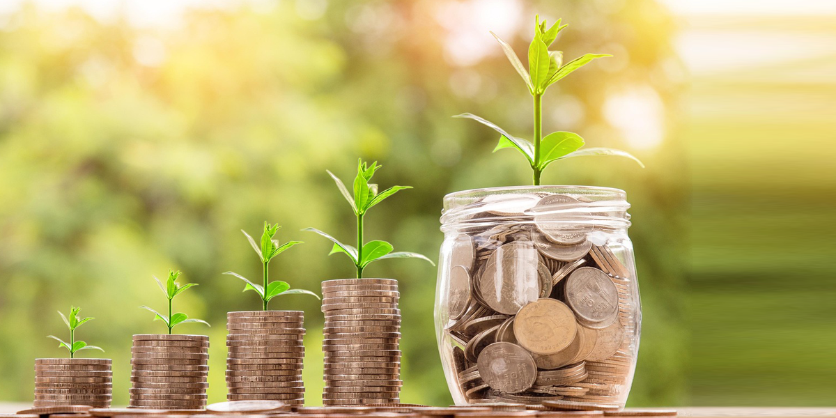 Faites des économies avec le référencement naturel SEO Referencis